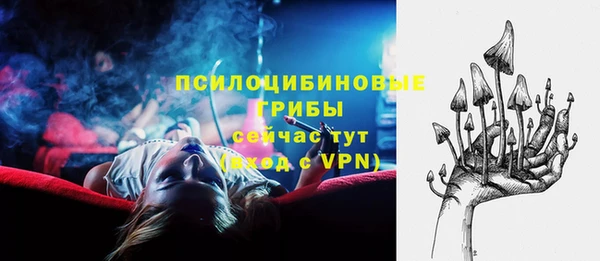 прущие грибы Гусь-Хрустальный