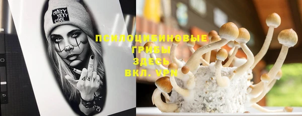 прущие грибы Гусь-Хрустальный