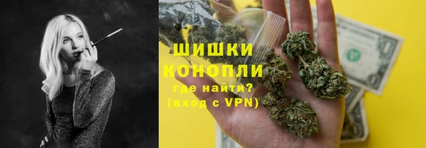 прущие грибы Гусь-Хрустальный