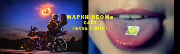прущие грибы Гусь-Хрустальный