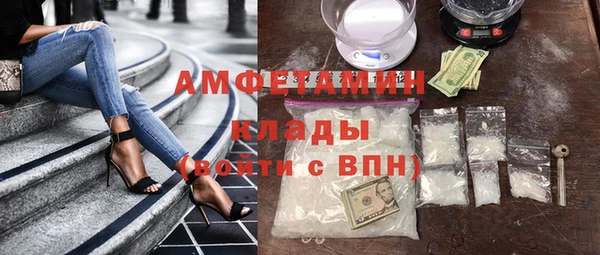 прущие грибы Гусь-Хрустальный
