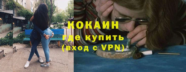 прущие грибы Гусь-Хрустальный