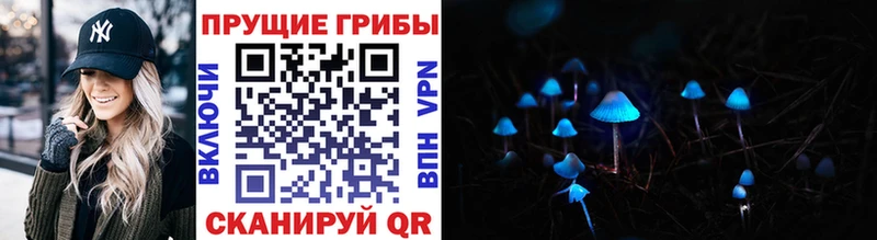 Галлюциногенные грибы Psilocybe  закладка  Закаменск 